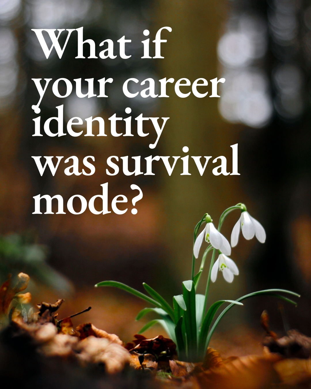 What if your career identity was survival mode?