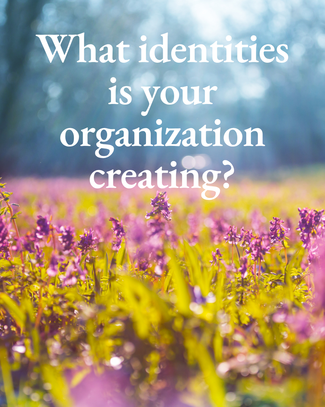 What identities is your organization creating?