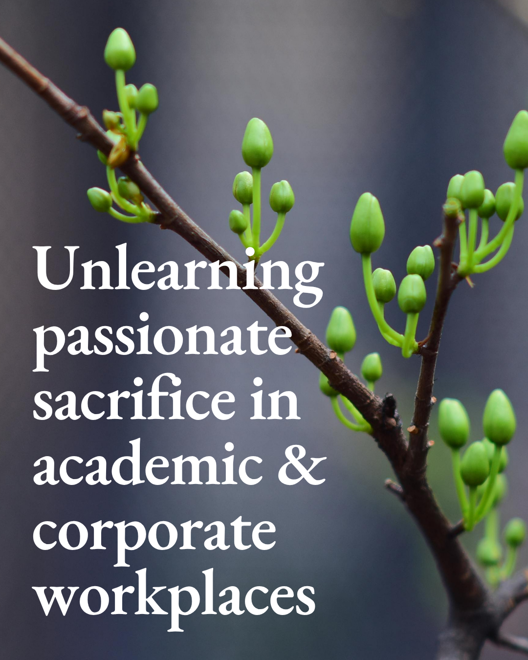 Unlearning Passionate Sacrifice in Academic &amp; Corporate Workplaces