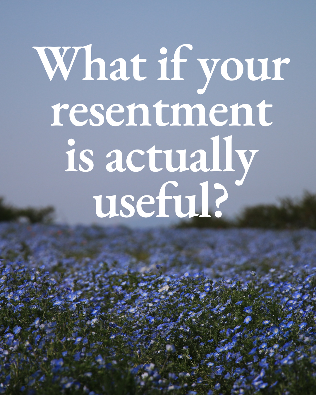What if your resentment is actually useful?
