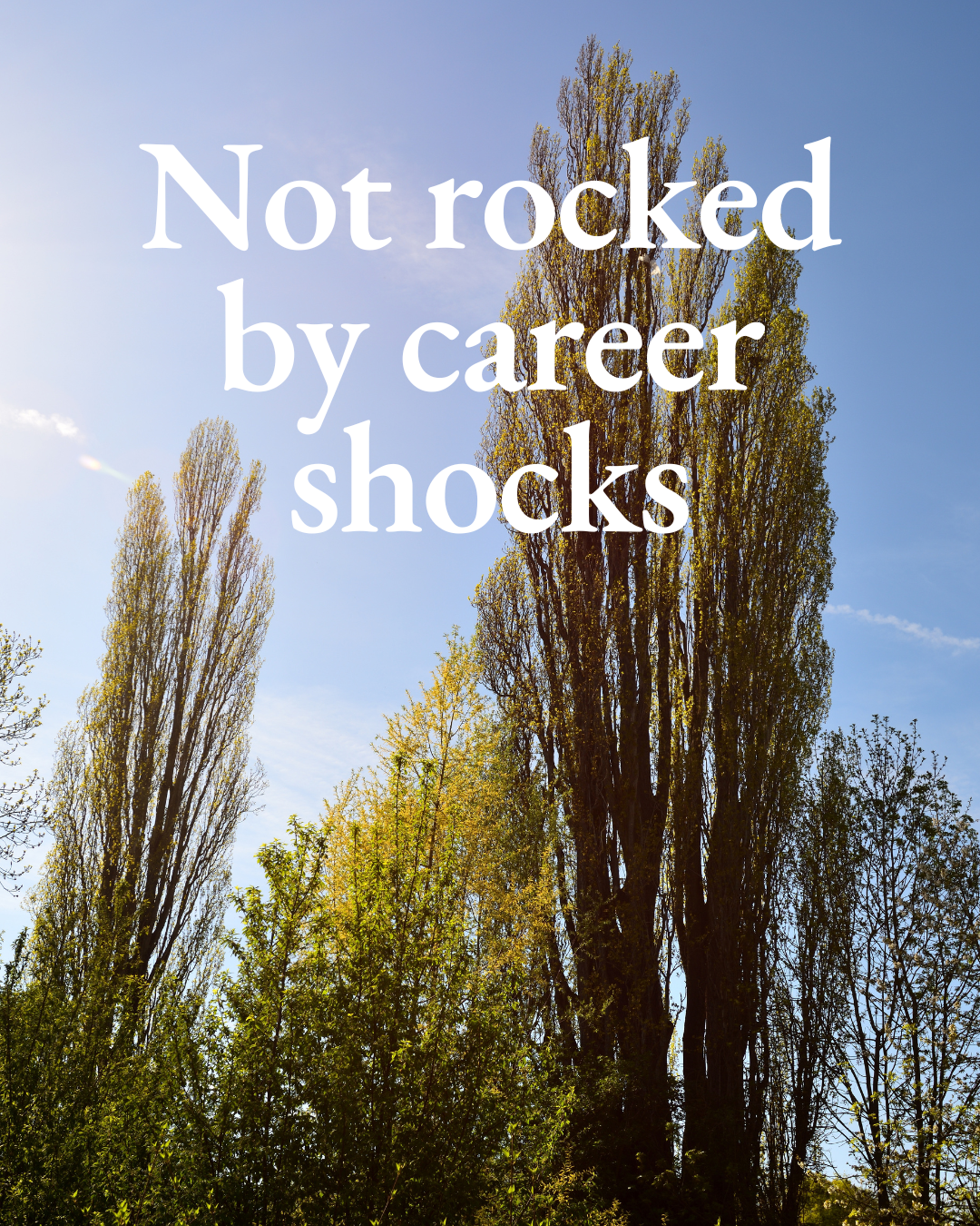 Not rocked by career shocks