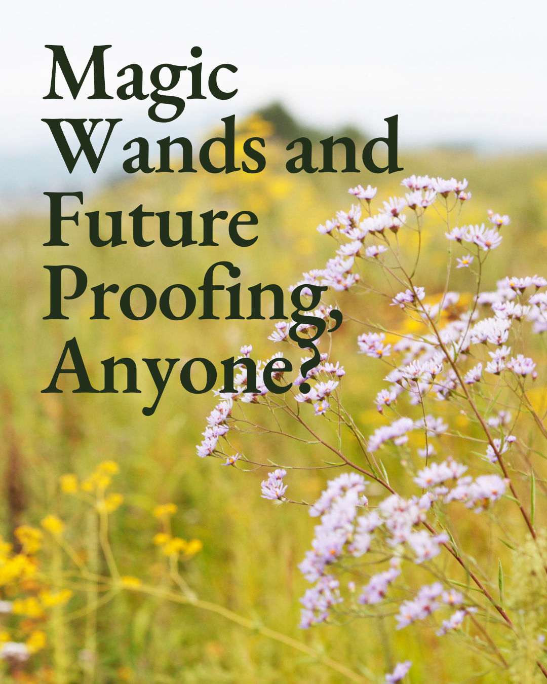 Magic Wands and Future Proofing, Anyone?