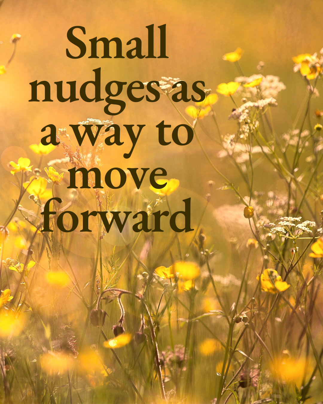 Small nudges as a way to move forward
