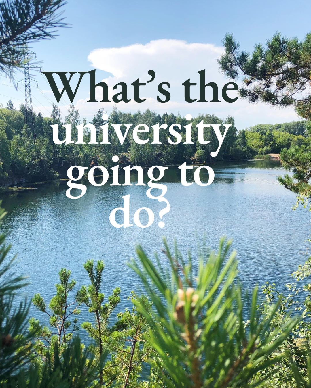 What’s the university going to do?