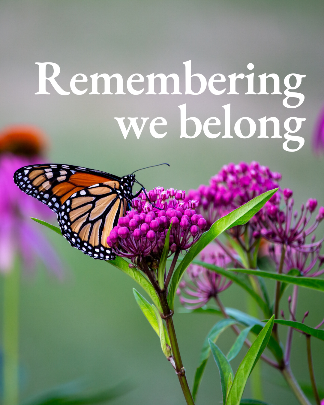 Remembering we belong