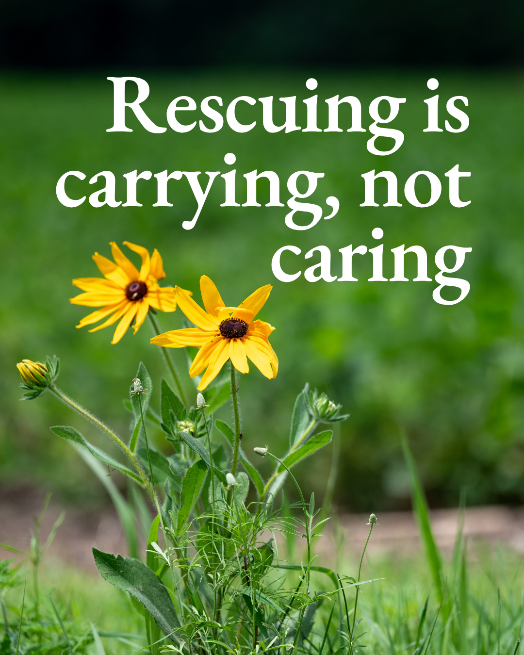 Rescuing is carrying, not caring
