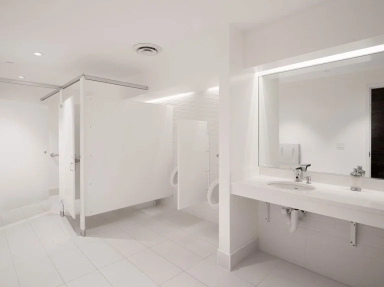 THE BLAISDELL RENOVATION INTERIOR DESIGN