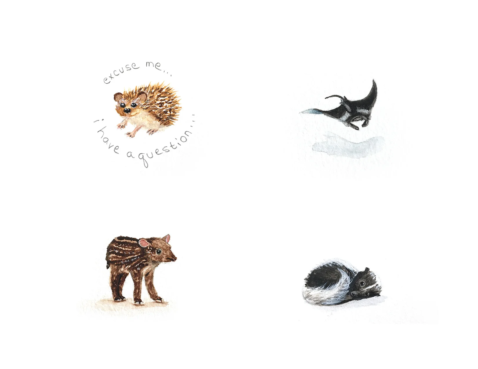 Illustration Portfolio-R2.jpg