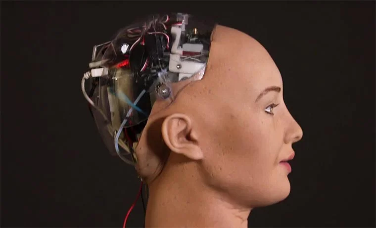 Sofia-female-humanoid-robot-4.jpg