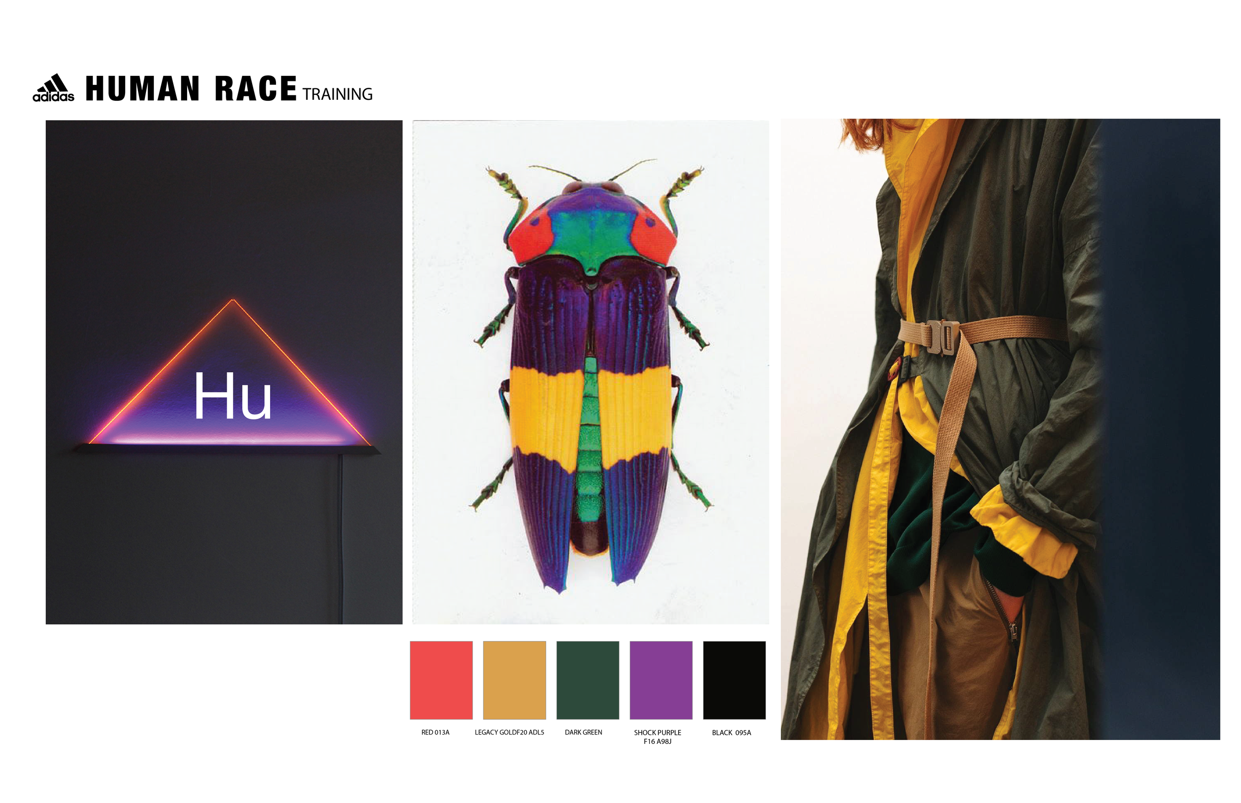 CONCEPT COLLECTION - HUMAN RACE PERFORMANCE TRAINING