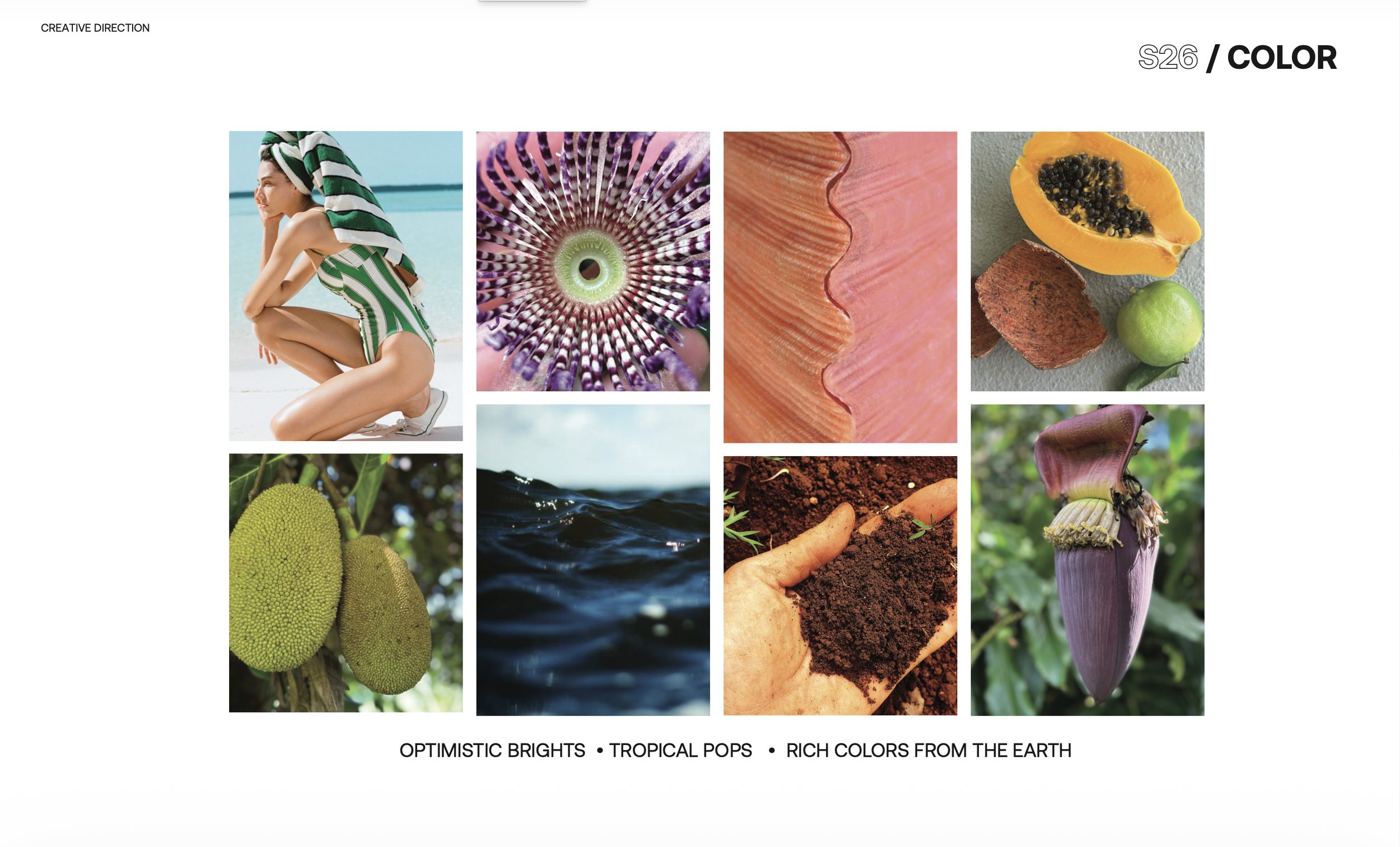 Screenshot 2026-02-01 at 8.13.04 PM.png