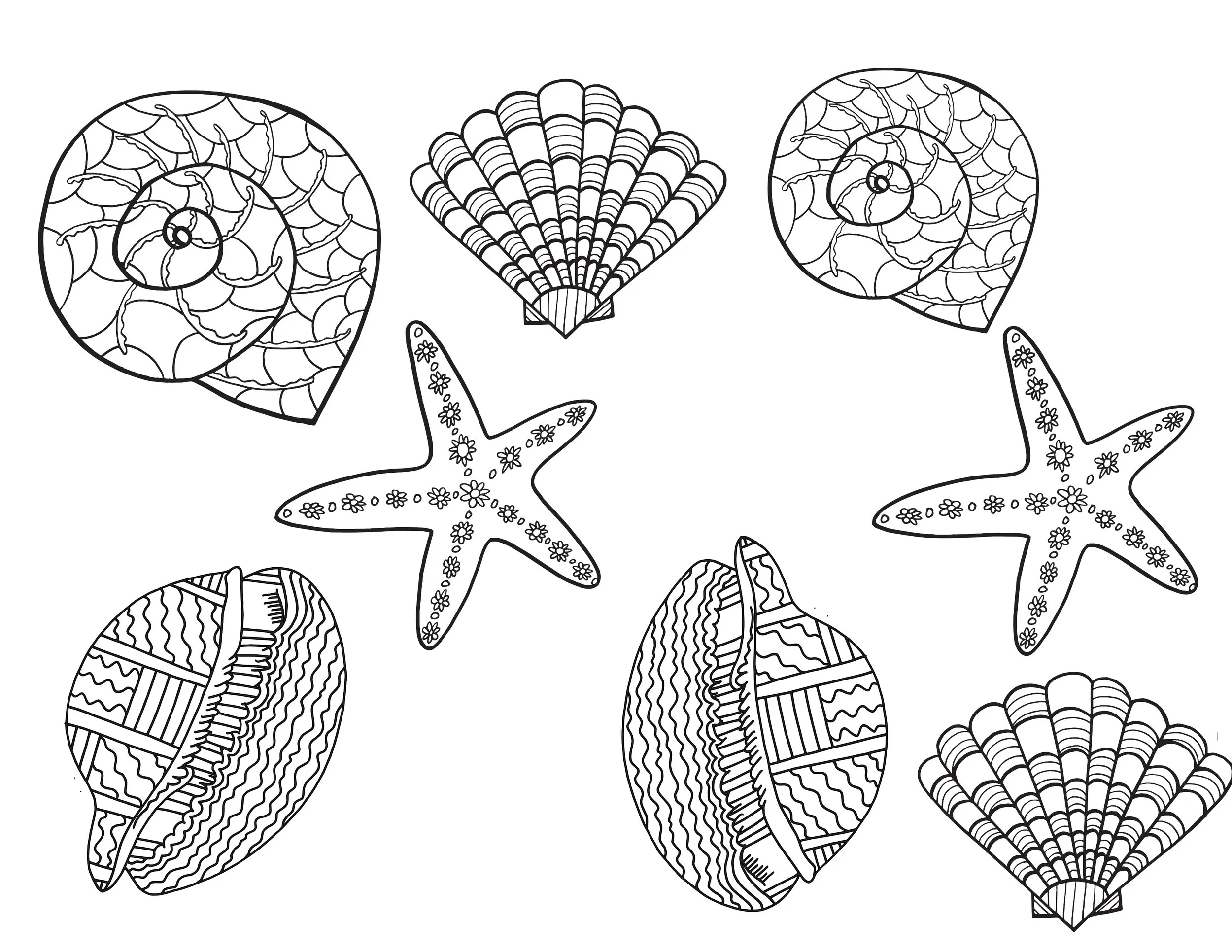 SHELLS - Free Printable Coloring Page — Stevie Doodles Free Printable