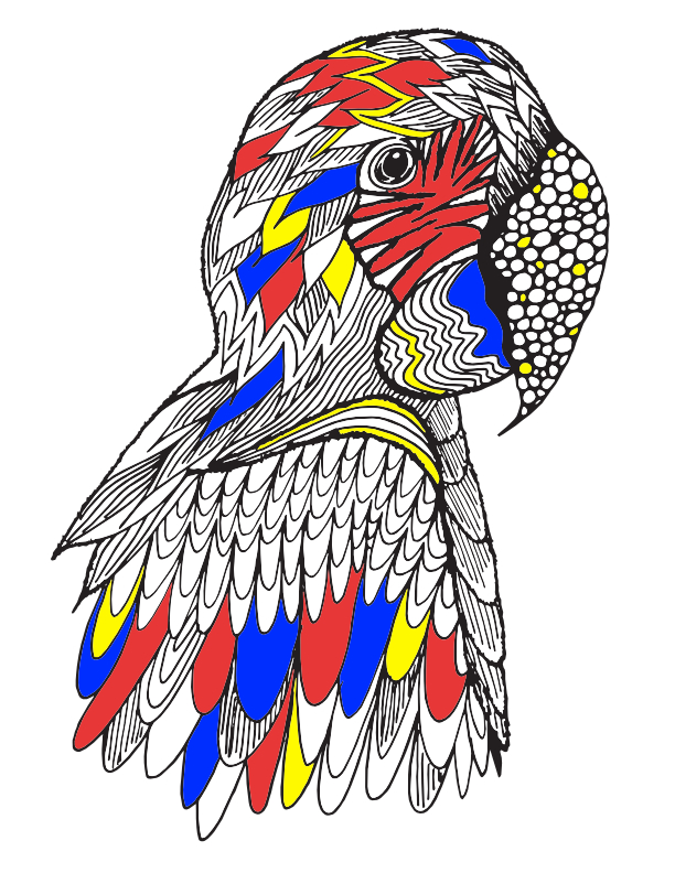 macaw free printable coloring page by stevie doodles.jpg