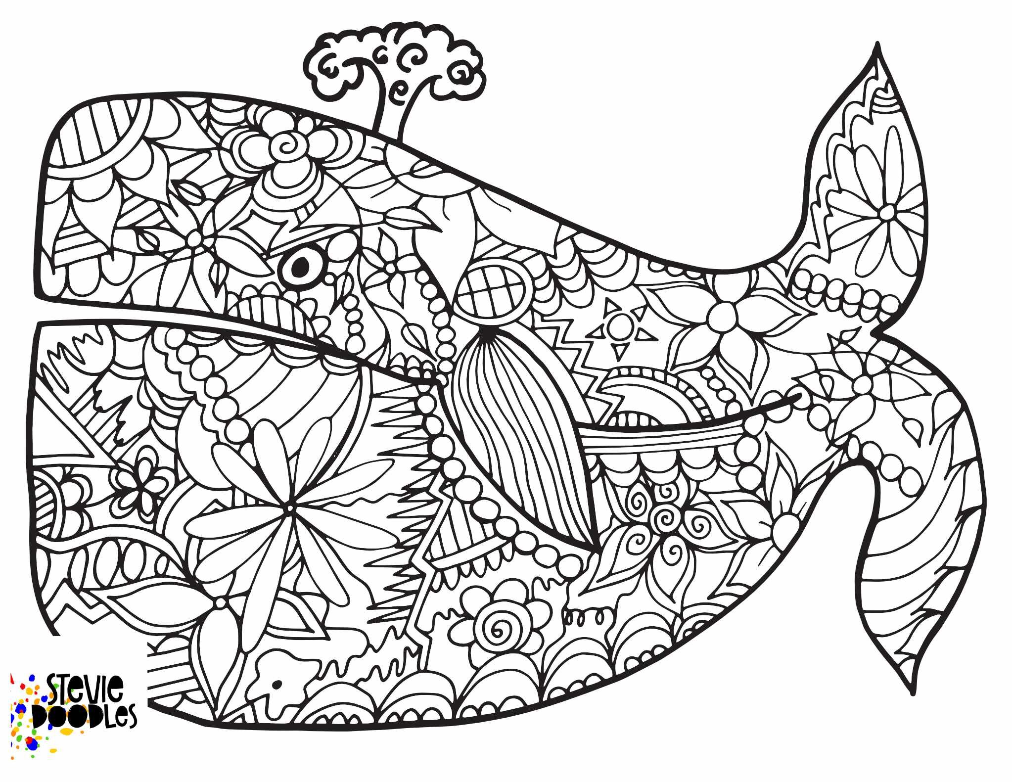 Free WHALE Coloring Page CLICK HERE TO DOWNLOAD THE PAGE ABOVE!