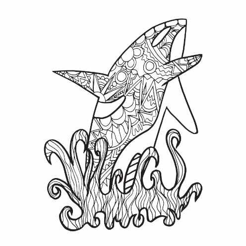 Orca Free Coloring Page Stevie Doodles