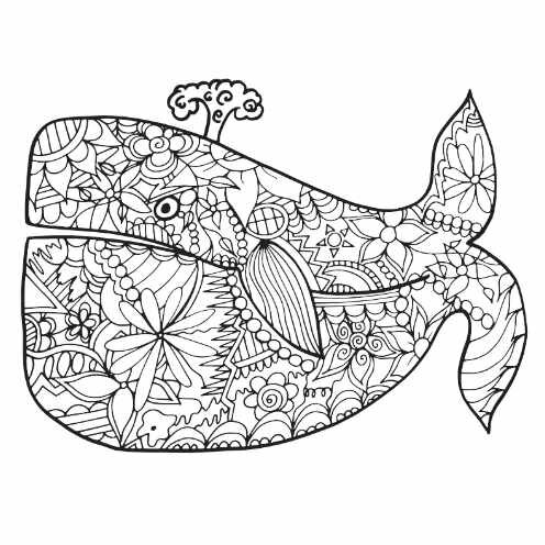 Whale With Doodles 