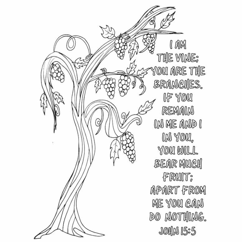 John 15:5 Vine and Branches