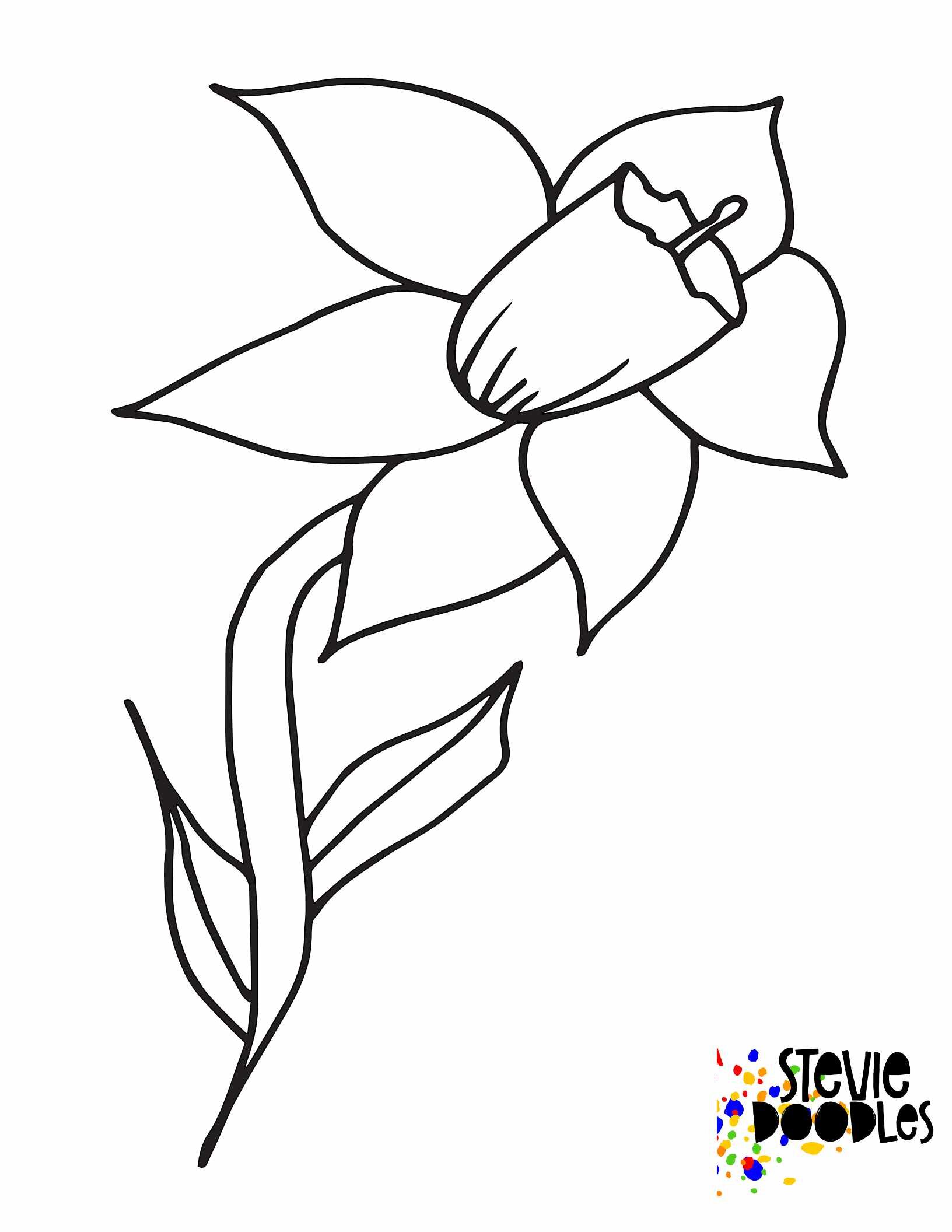 simple daffodil coloring page