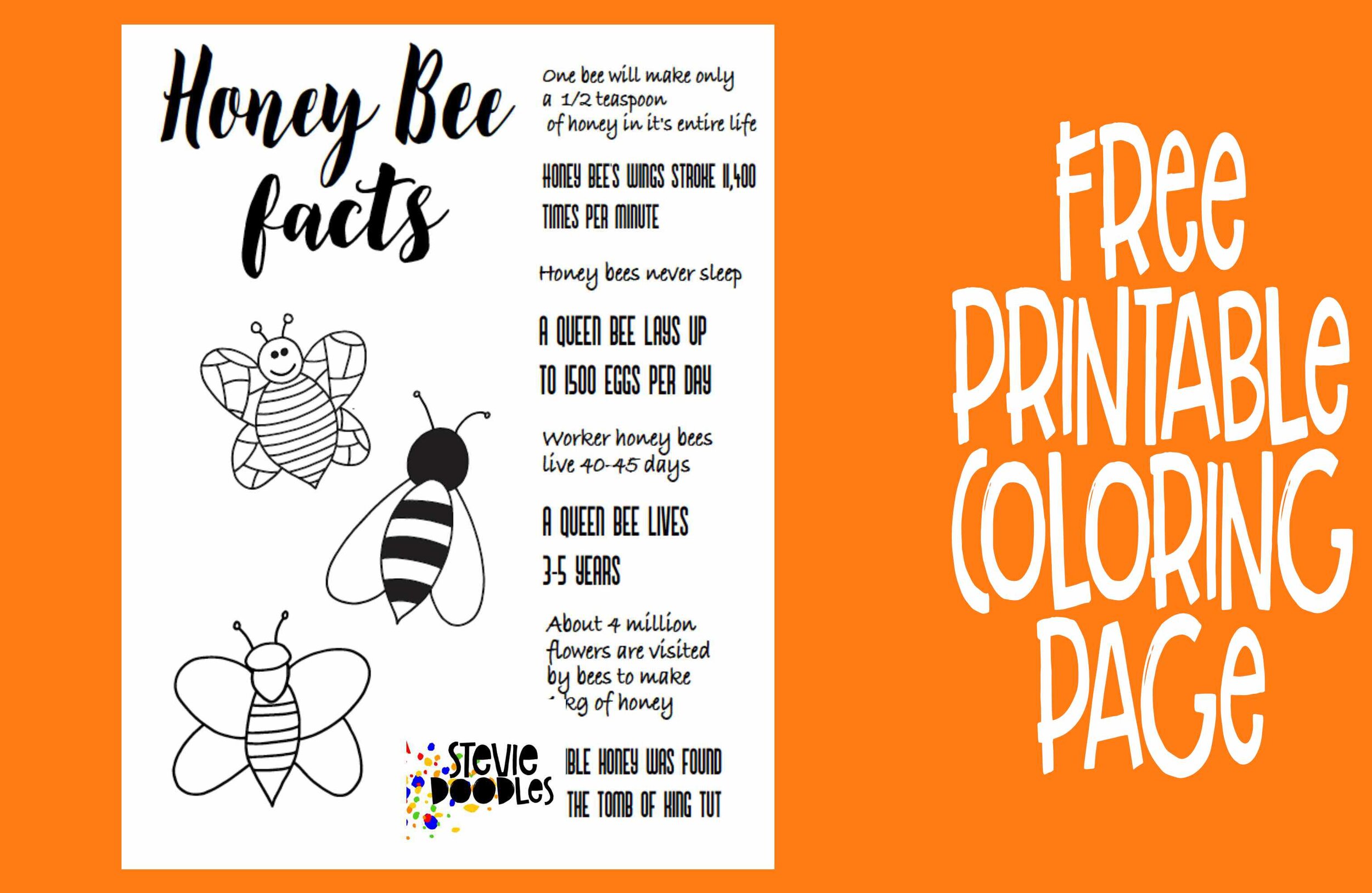 HONEY BEE FACTS free printable coloring page