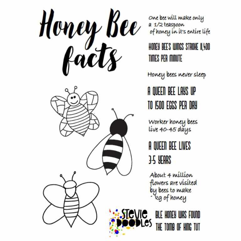 Honey Bee Fact Squares.jpg