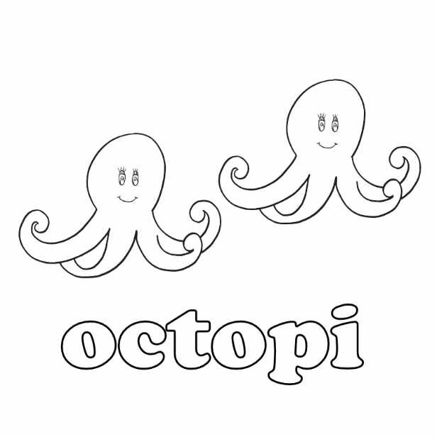 octopi square.jpg