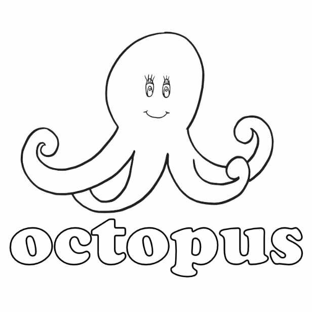 octopus square.jpg