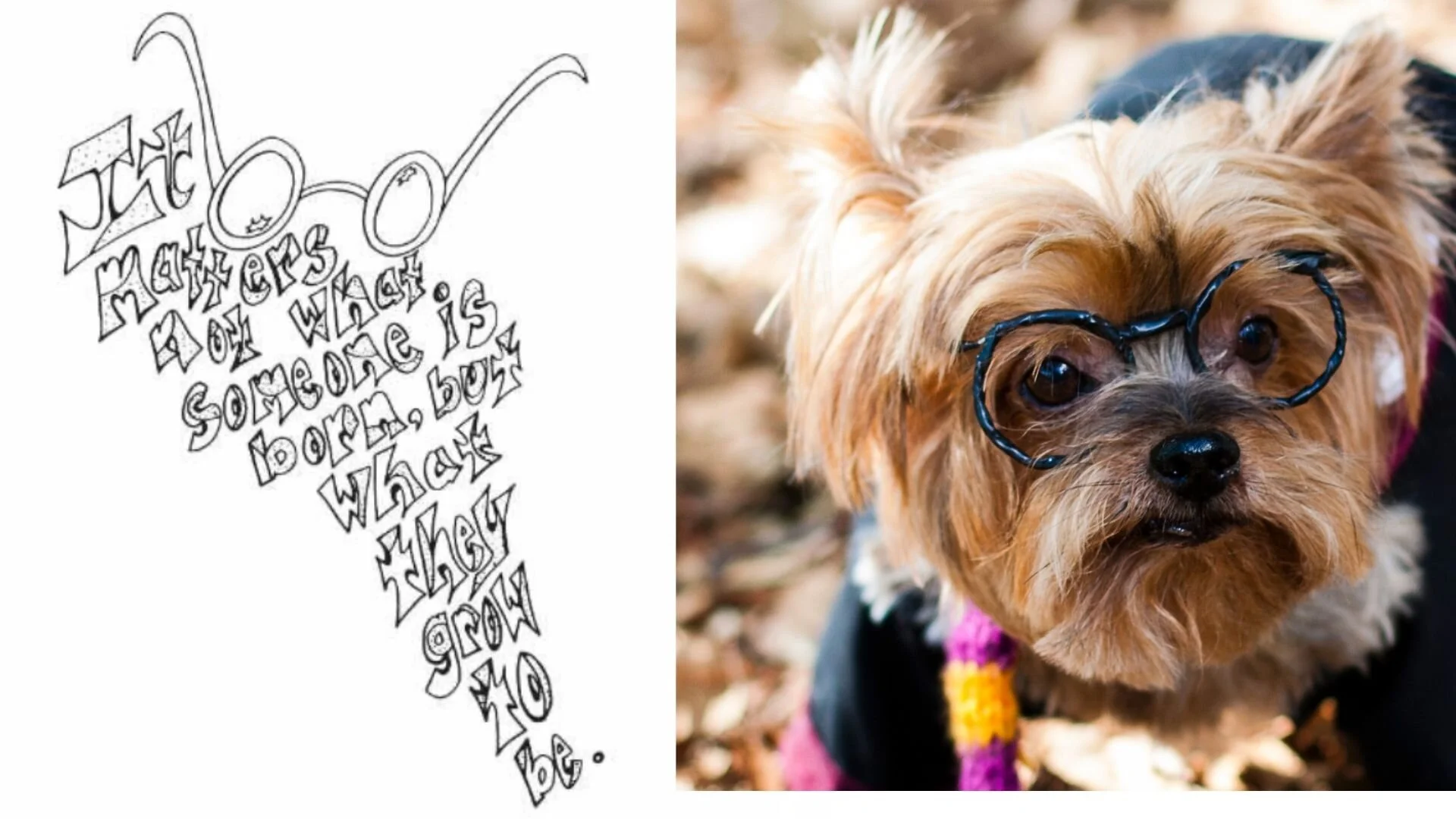 it matters not what someone is born quote coloring page stevie doodles free printable coloring pages