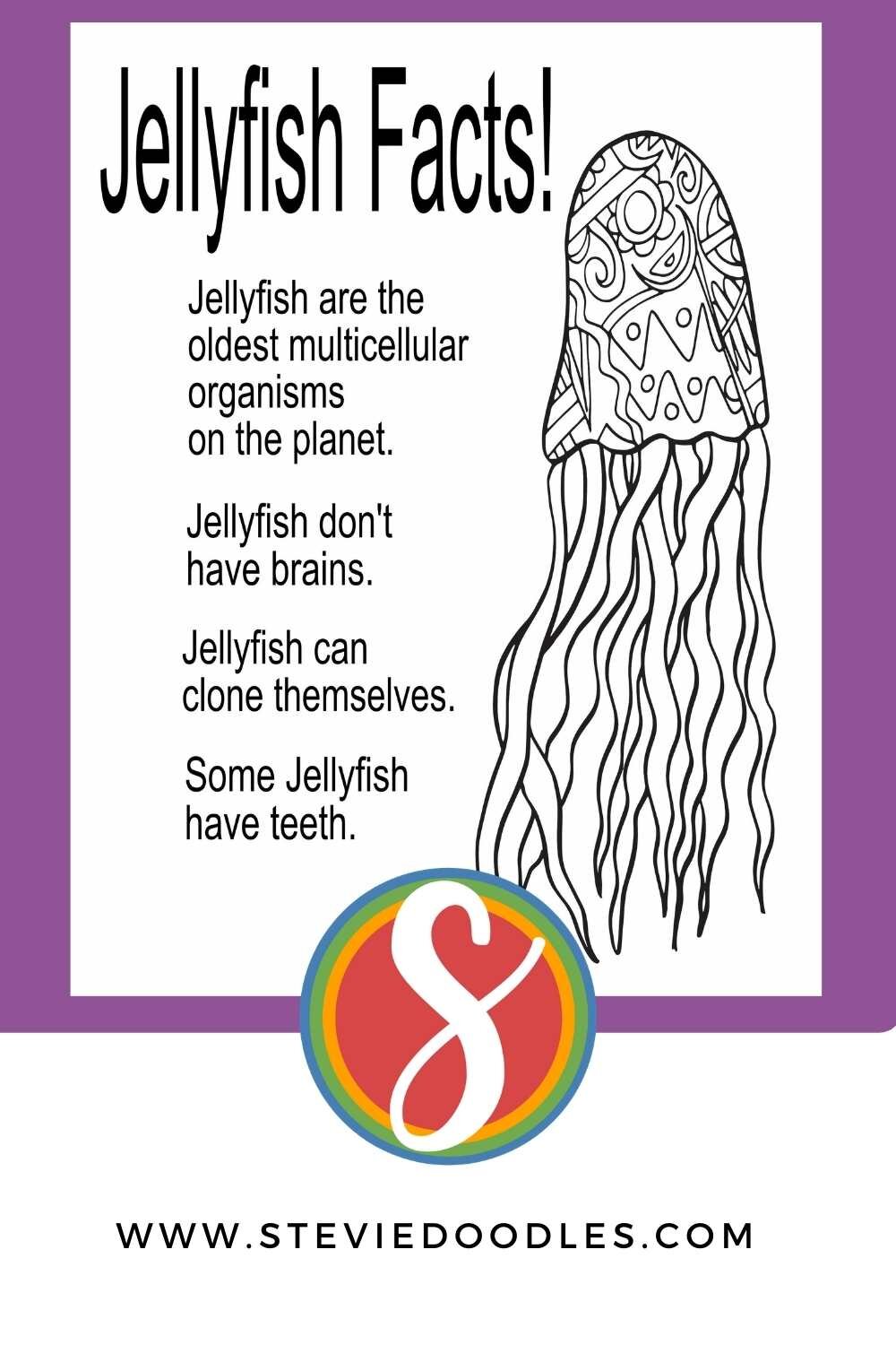 At the top of the page, text reads "free jellyfish coloring pages" on the right is a jellyfish drawing with the body of the jellyfish filled with doodles, on the left is a list of facts about jellyfish