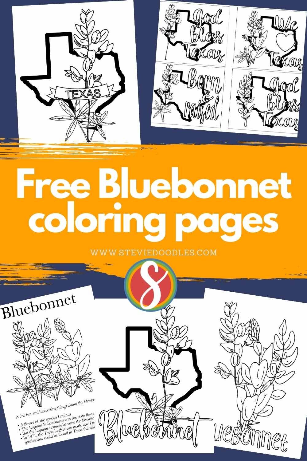 5 free bluebonnet coloring pages from Stevie Doodles - easily print and color these pages today