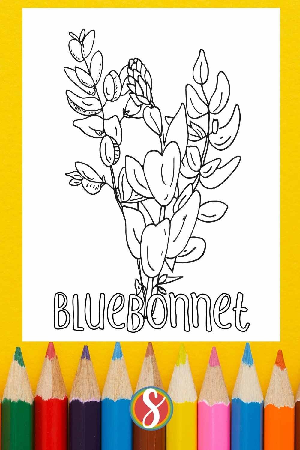 free coloring page with bluebonnet flowers.jpg