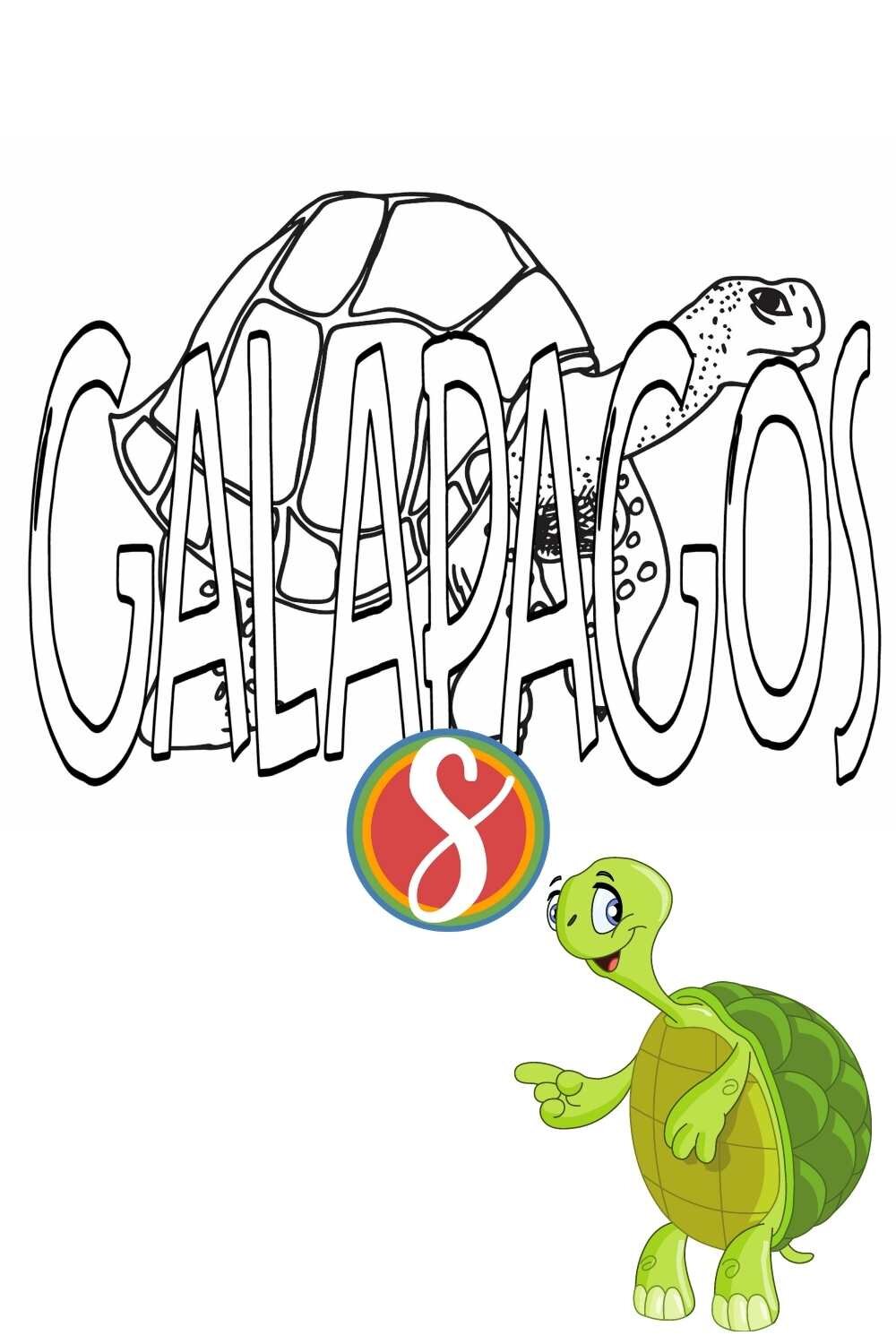 Galapagos tortoise coloring page - free coloring page printable from Stevie Doodles