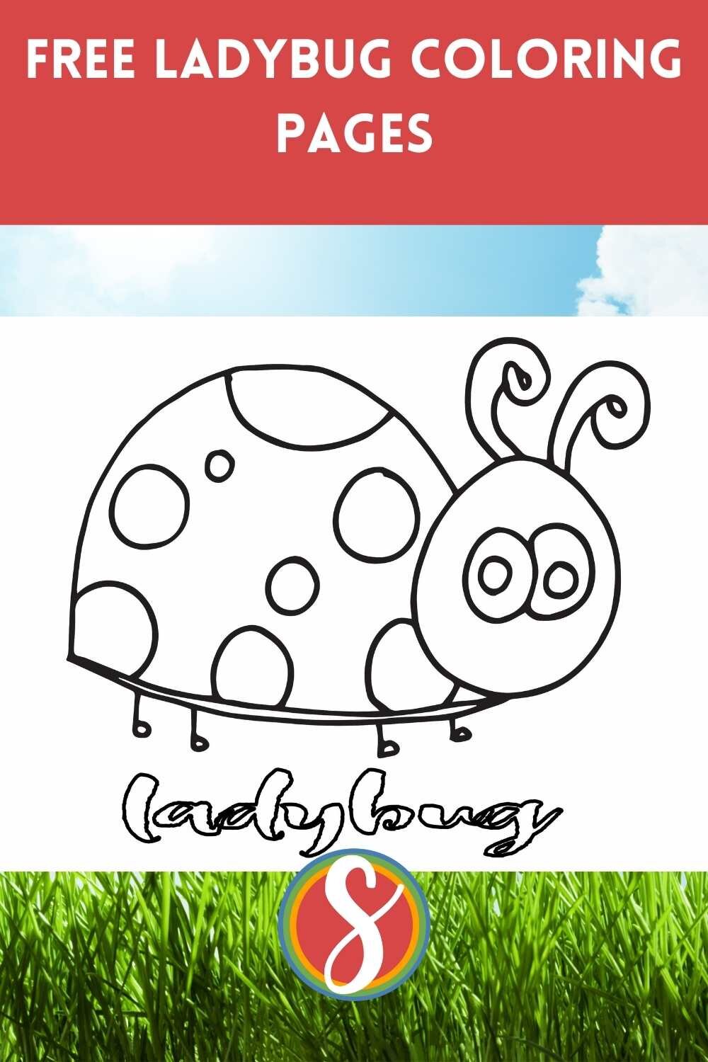 simple ladybug kids coloring pages stevie doodles