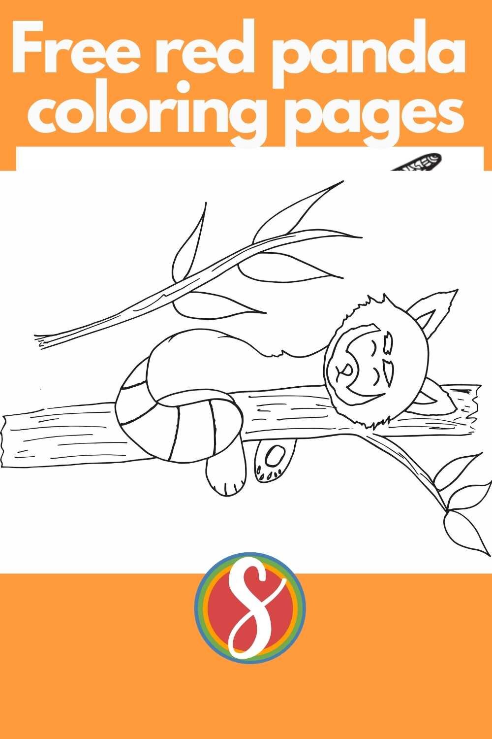 A free printable napping red panda coloring page - great kids coloring page for red panda lovers
