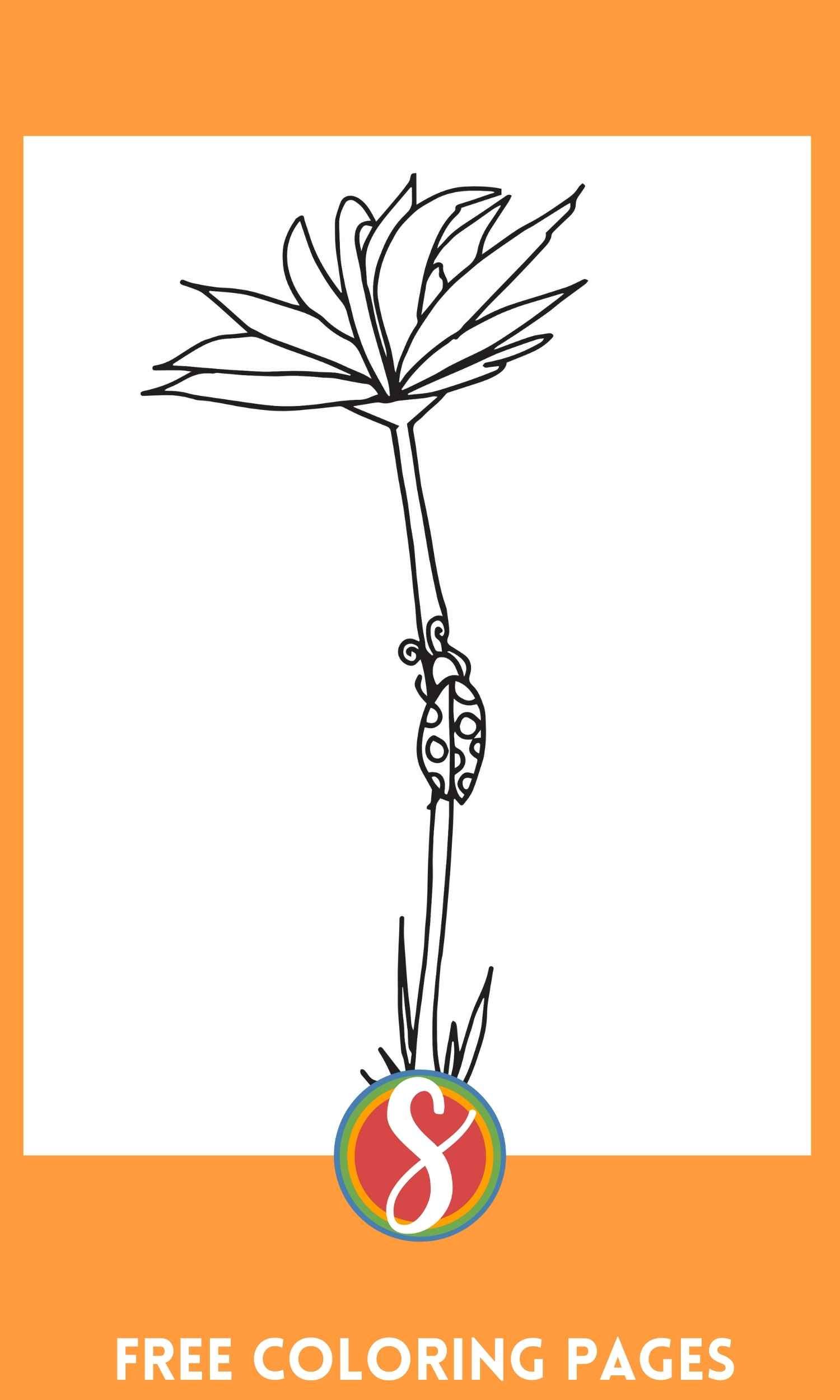 flower coloring page with long-stemmed flower and ladybug crawling up