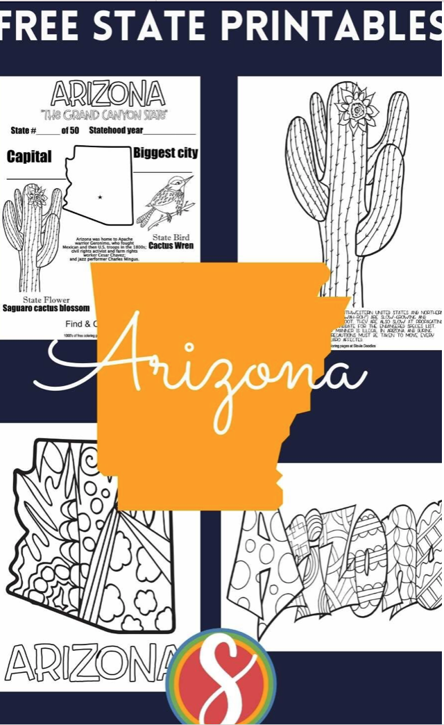 4 arizona coloring pages, facts page, state outline with doodles, cactus page with facts, and "Arizona" bubble letters filled with doodles