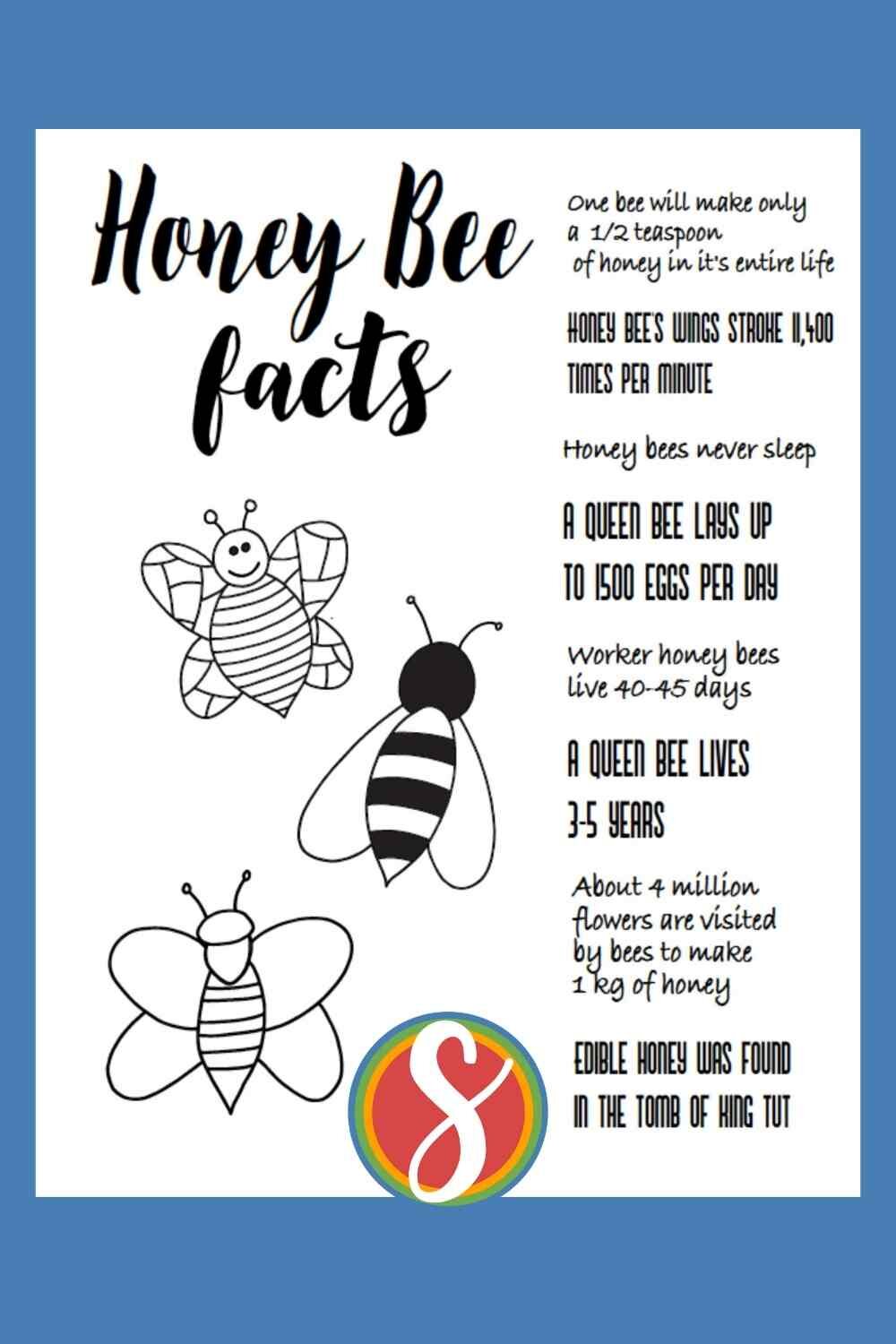 Free honey bee coloring page with honey bee facts - free printable coloring page about honey bees from Stevie Doodles