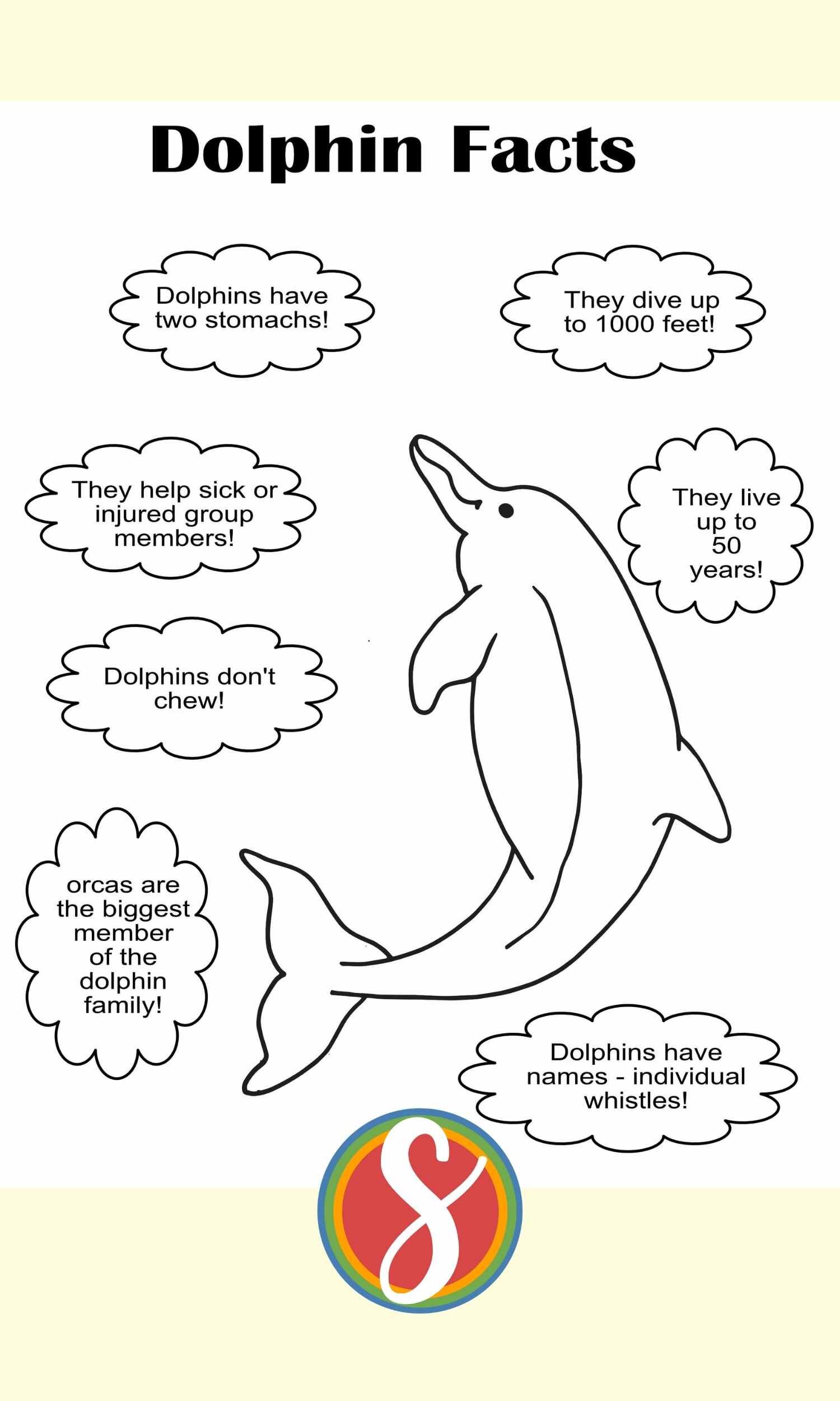Free dolphin facts coloring page from Stevie Doodles - 11 free dolphin coloring pages!