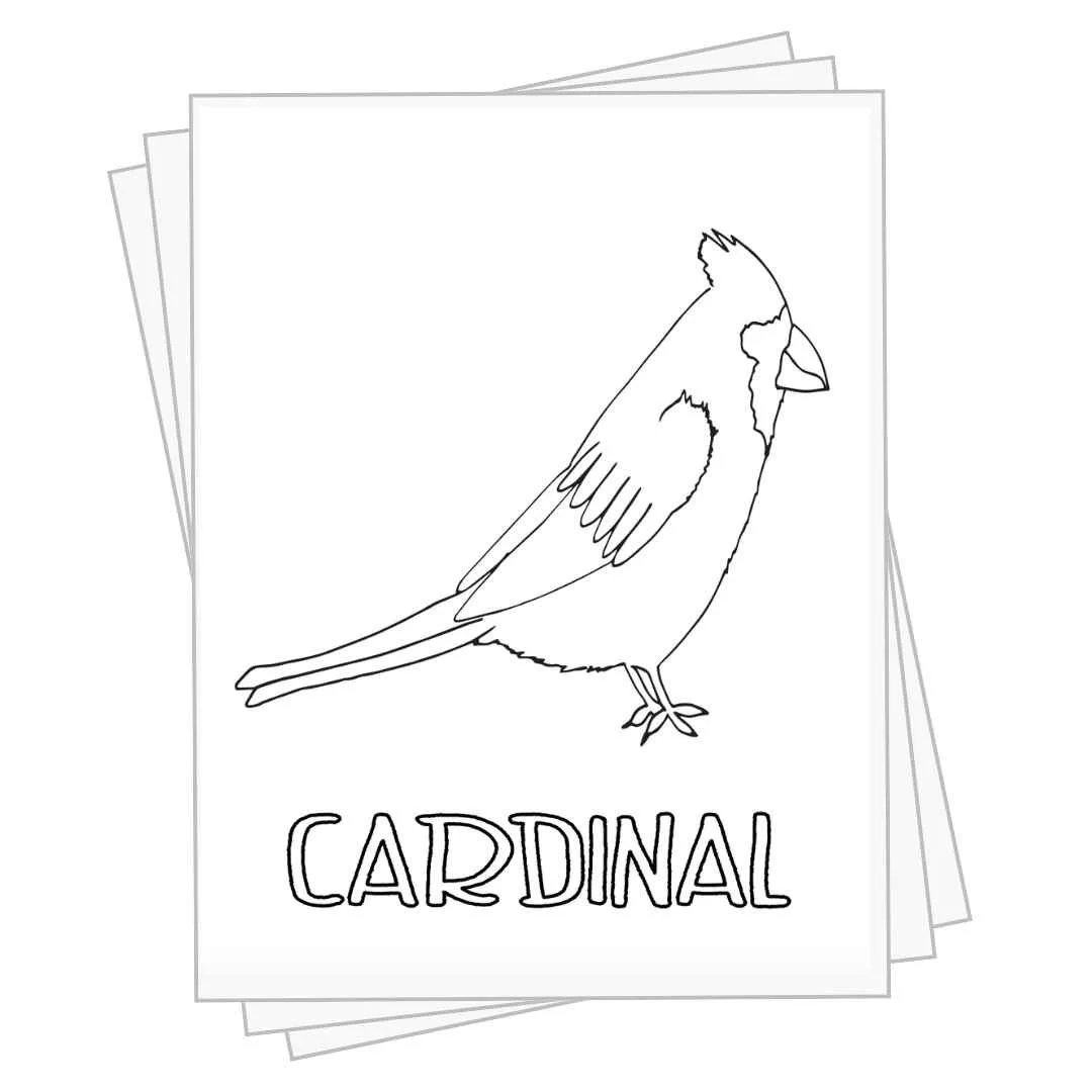 Bird Coloring Pages