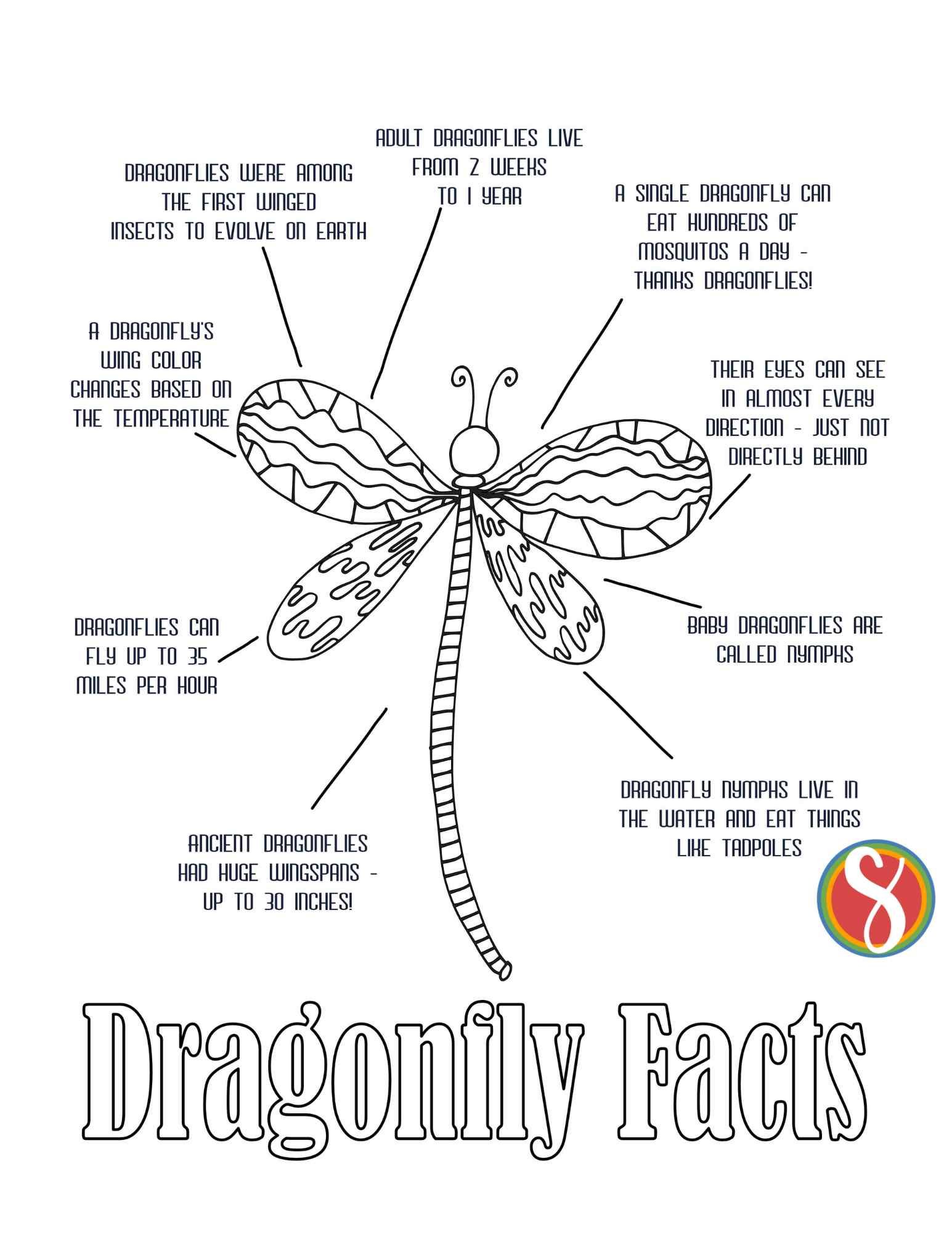 dragonfly facts coloring activity page