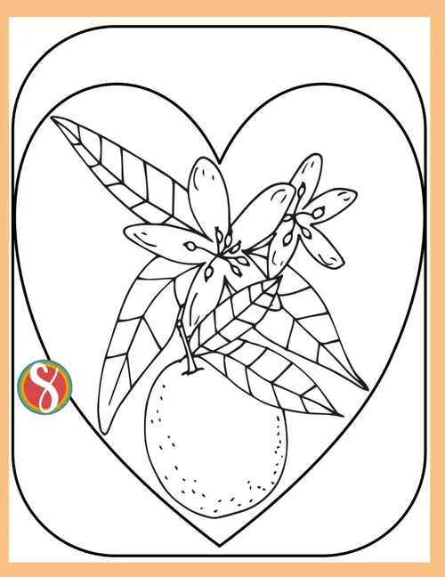 Free Orange Blossom Coloring Pages — Stevie Doodles