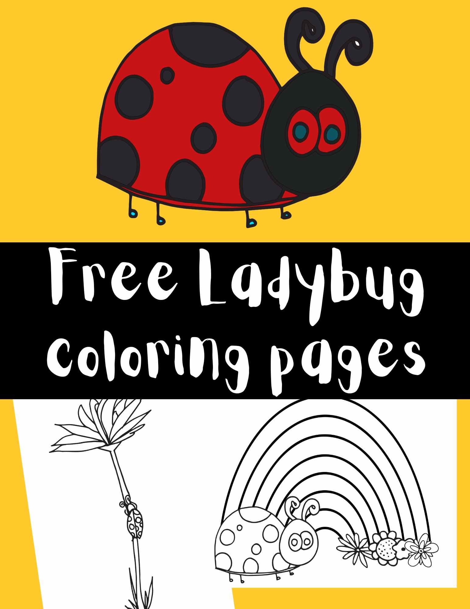 a collage of simple ladybug color pages