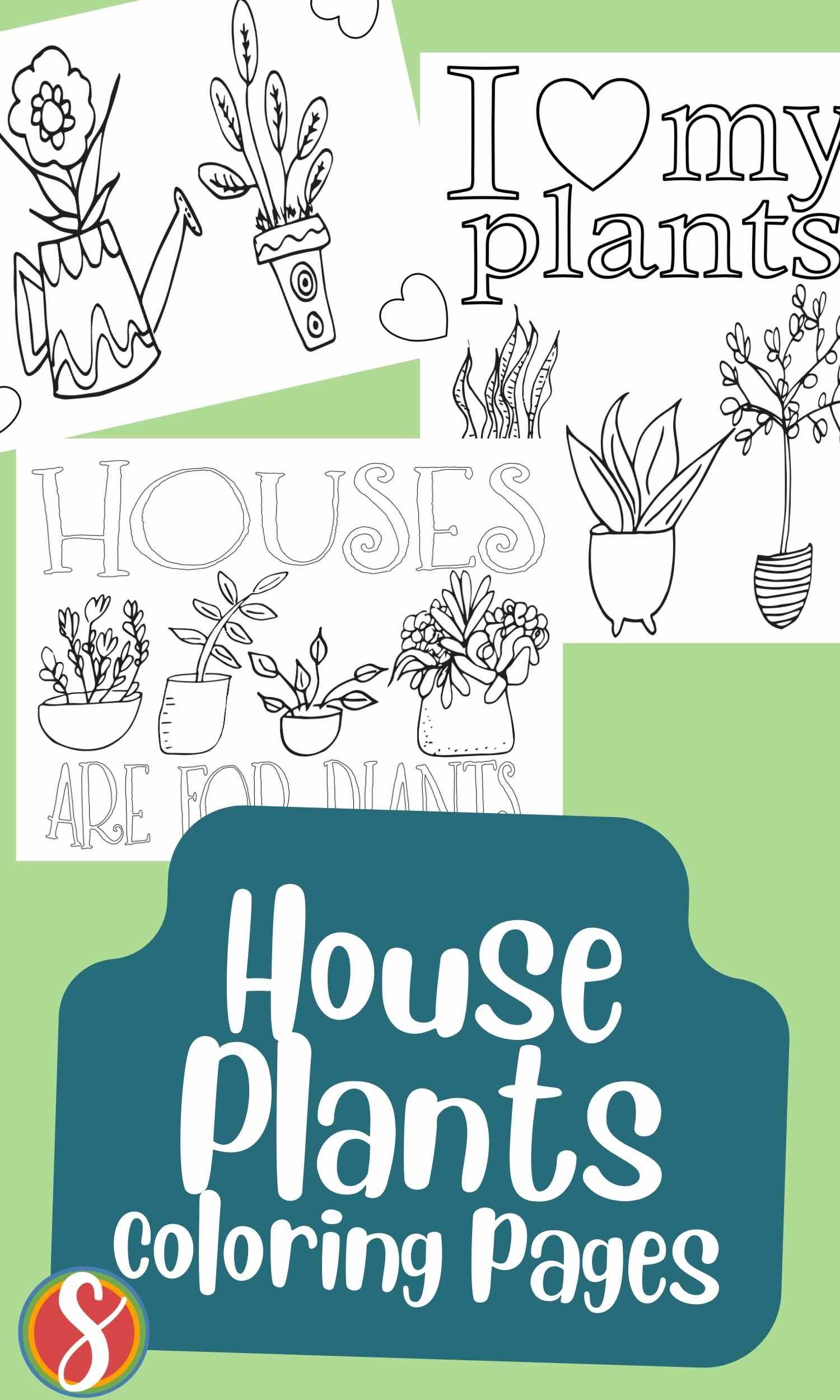 House Plant Coloring Pages