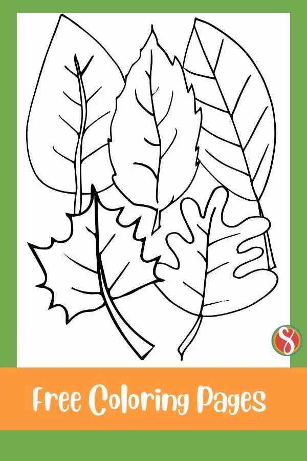 Simple Leaf Coloring Page