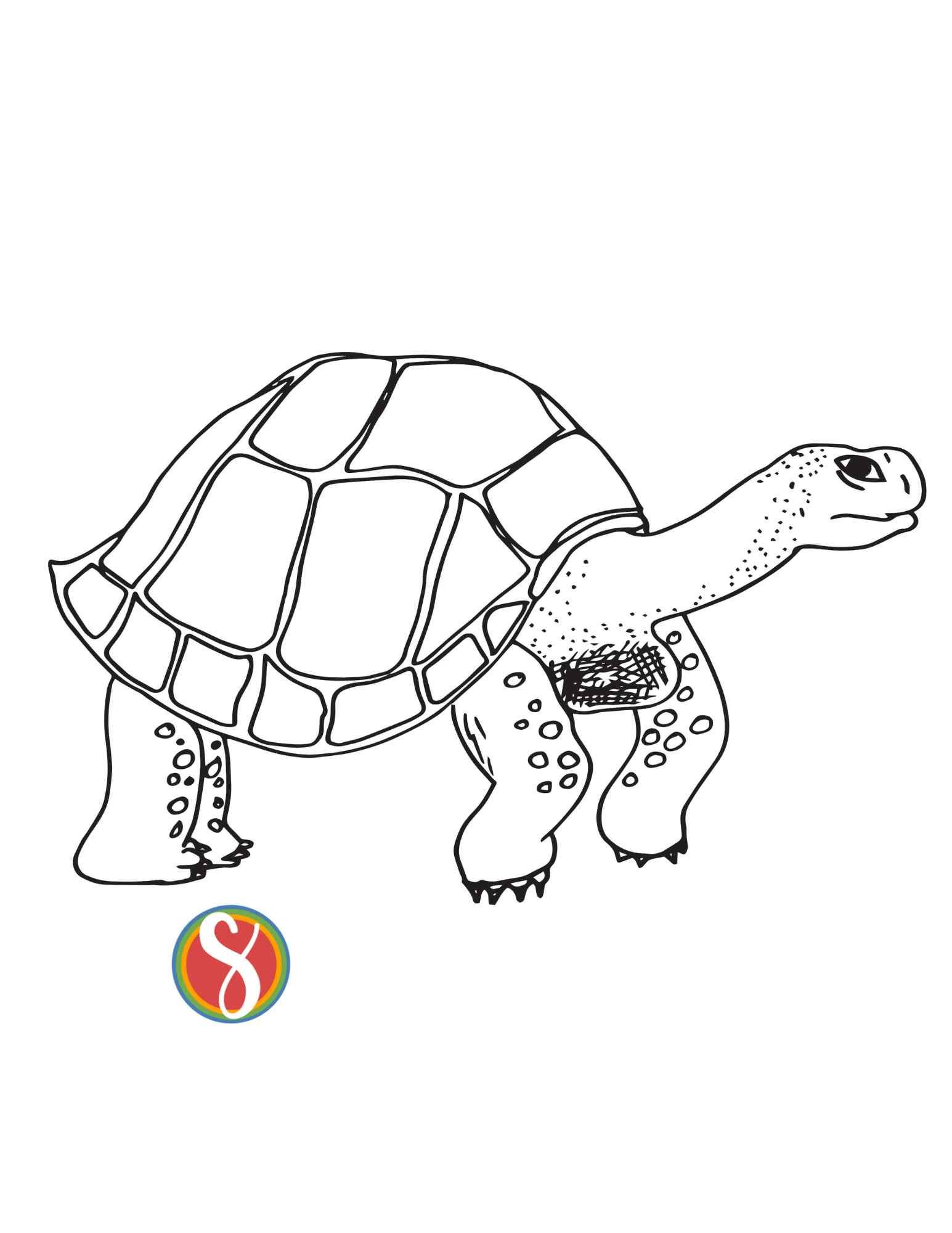 A tall tortoise drawing is on this coloring page, an outline of the tortoise with little details to fill in with your own color