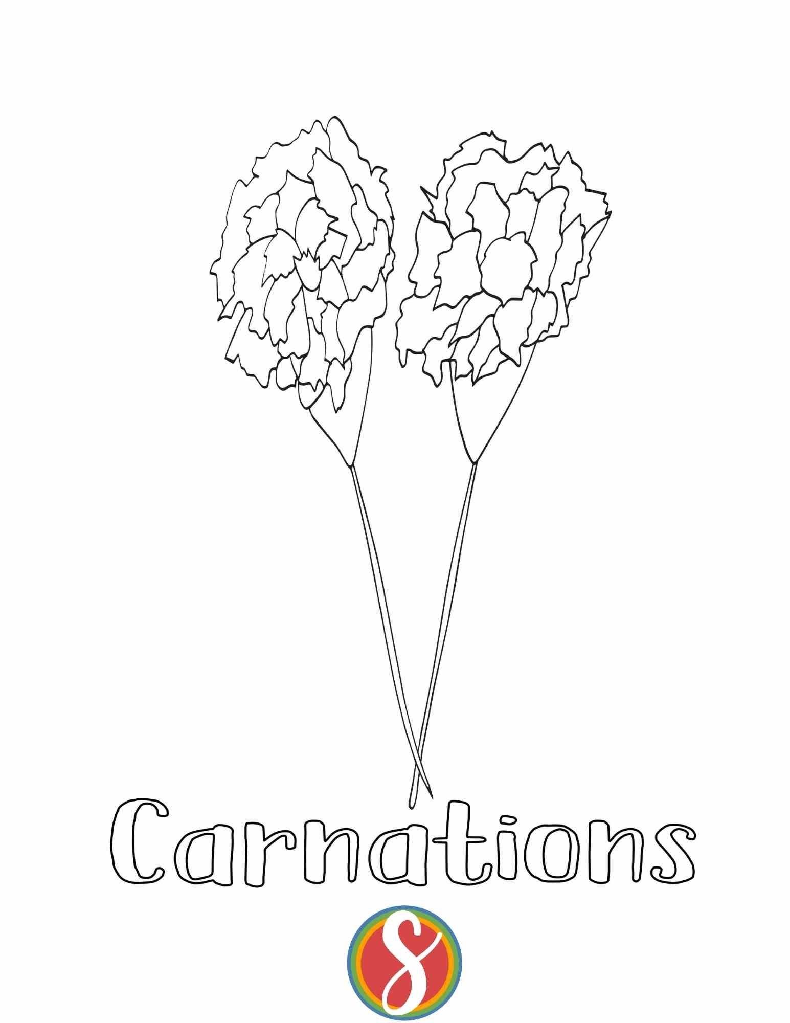 flower coloring page with 2 stemmed carnations