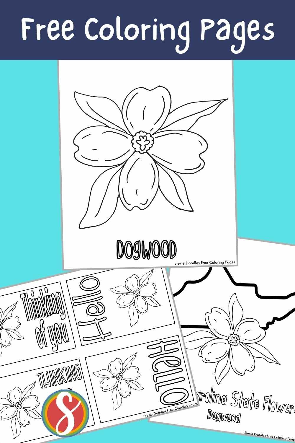 Free Dogwood Coloring Pages — Stevie Doodles