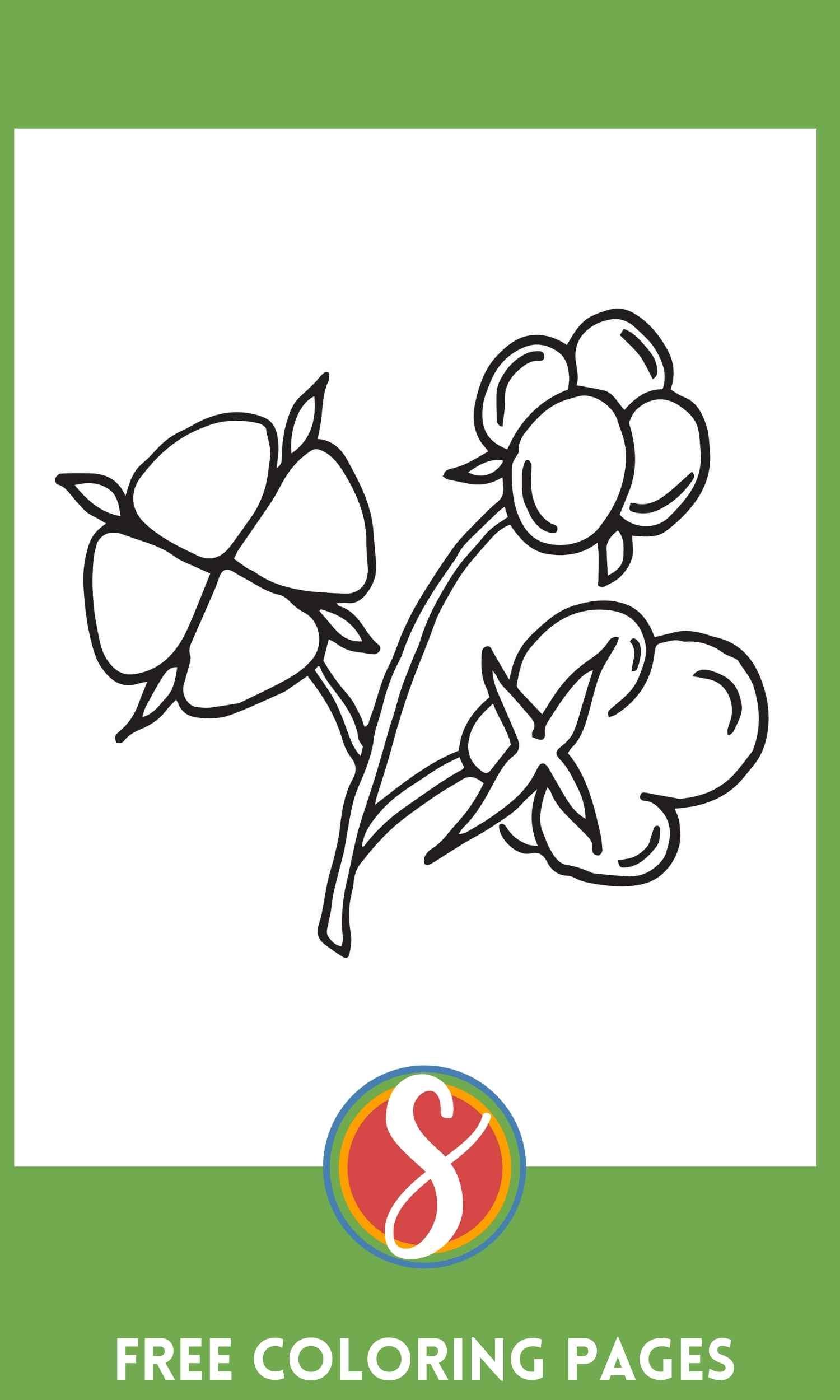 simple cotton stems coloring page