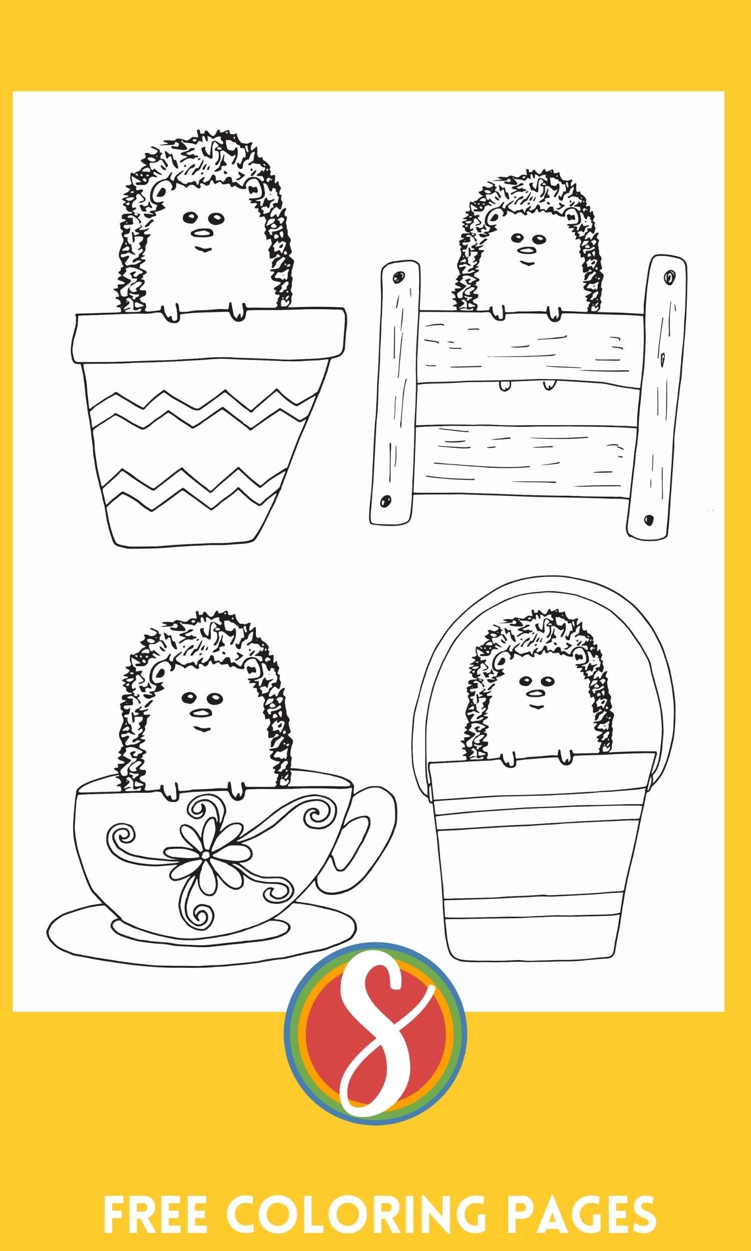 a hedgehog coloring page with 4 hedgehogs hiding behind a fence, in a bucket, in a planter, and in a teacup