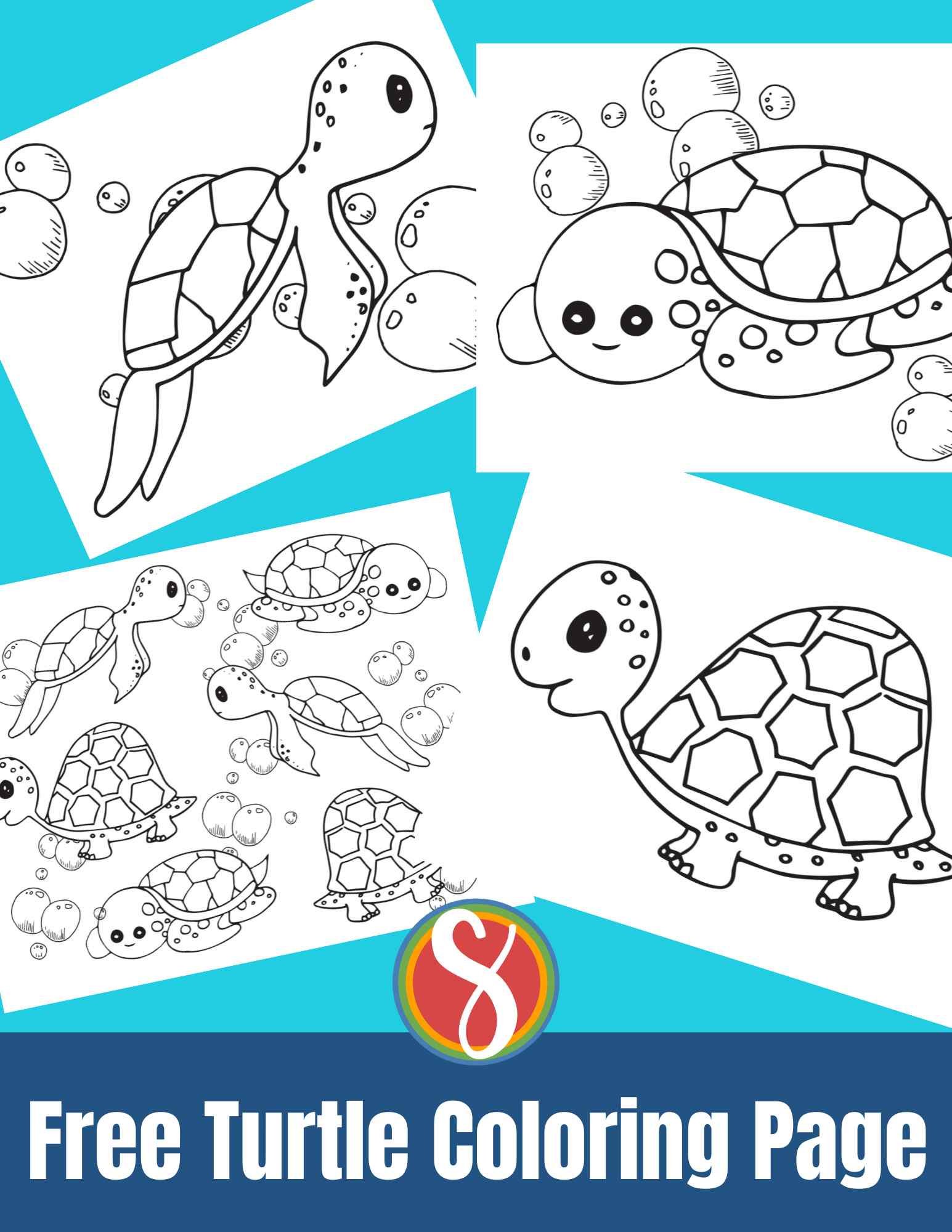 4 different turtle coloring pages with a background of two shades of blue and the text "Free turtle coloring pages"