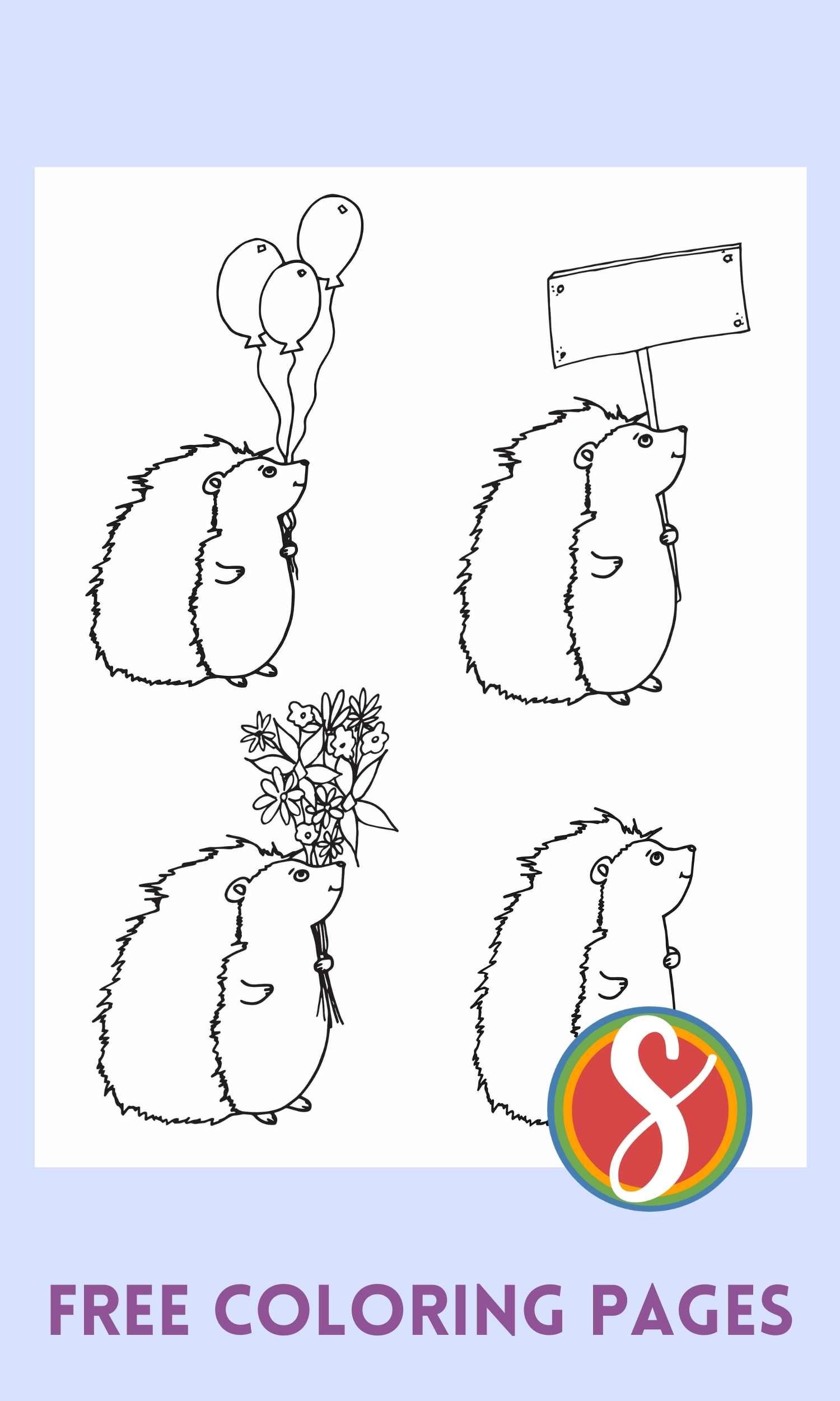 a hedgehog coloring page with 4, one holding balloons, one holding a sign, one holding flowers, and one plain
